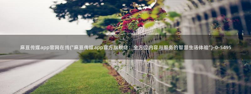 91麻豆传媒官网APP:麻豆传媒app官网在线(\