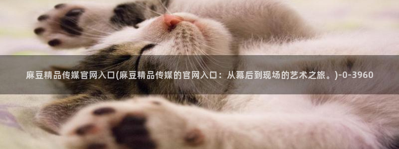 麻豆自传媒 官网:麻豆精品传媒官网入口(麻豆精品传媒的官网入口:从幕后到现场的艺术之旅。)